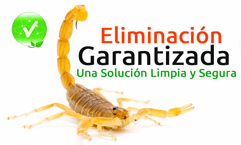 Fumigacion y Eliminacion de Alacranes